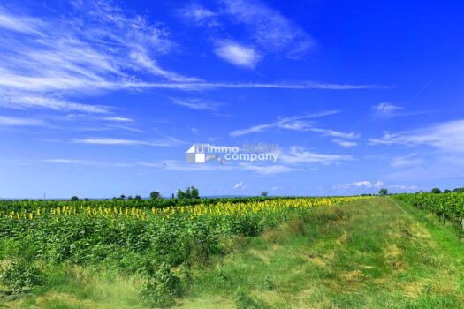 4qPPLUkp5v7Wfxov9B3run