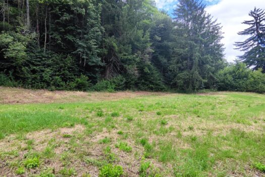 4sOQ5LsYl9N5JthwsQfodb