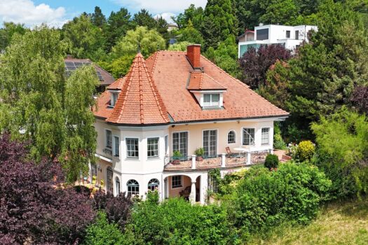 Repräsentative Traum-Villa in ruhiger Aussichtslage! Schwimmhalle, Sauna und Biotop Drohnenansicht