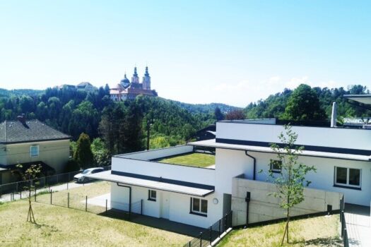 5mmUgpBRwZreQmzdLVfgRn