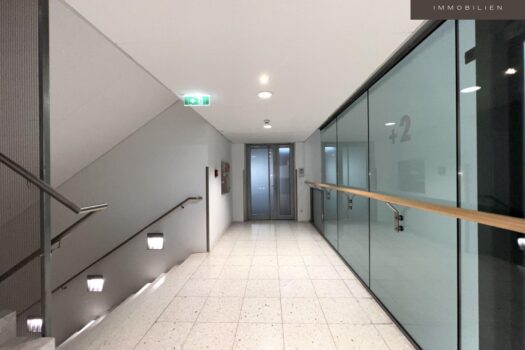 5yqUELnvMruQv80pI1mOWf