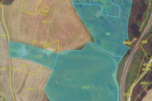 6G0FNVTiPo1NpnuBtTjFYg