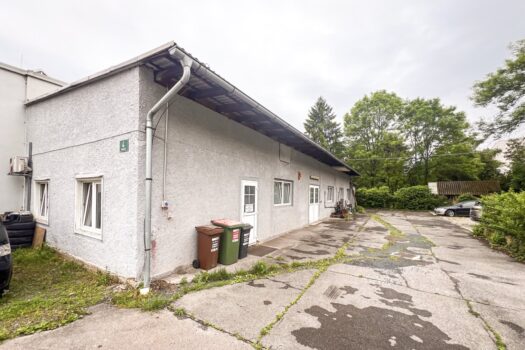 783CApish1dQQ54TmHq6NQ