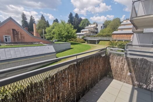 shNwngf8kJK07v1aa8Fig