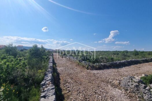 1686999495 20230616 170018