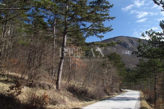 1695374864 od bresta do bresta 19022011 007