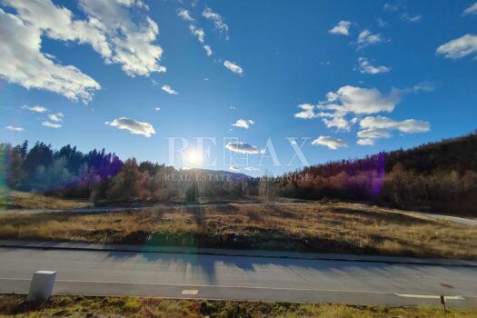 1701001960 img 20231125 150711