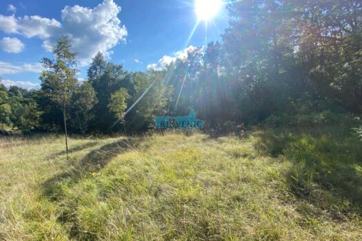 1711486928 img 20240326 wa0022