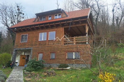 1742926386 20250322 105235