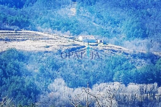 1743786440 screenshot 20250404 184435