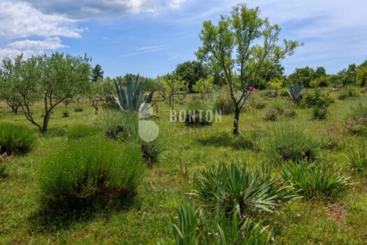 1751828745 afb30b52 2b18 4851 93be 86b5f17cee39