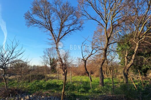 1751839804 c9d9f3d2 a79a 4c8f a2d4 2de97d8d1a5f