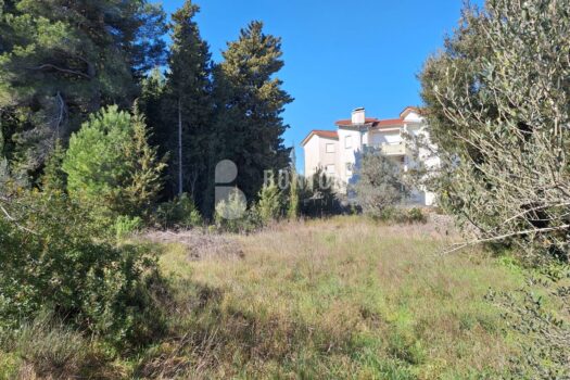 1751840318 73e16444 13c9 48e6 929f 540f3c62363d