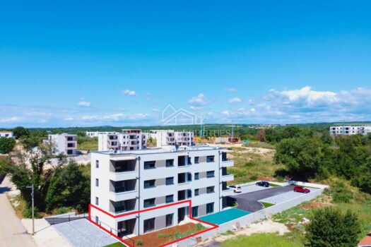 1752589469 1258936355