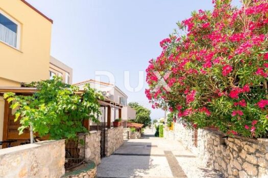 1753358359 470362695