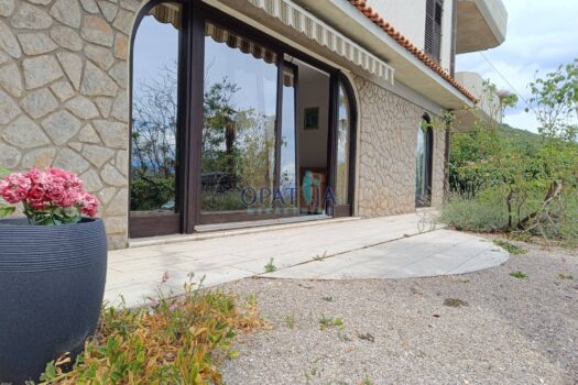 1753548248 1753544860677