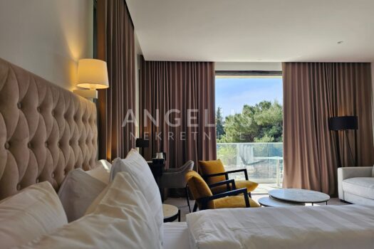 1754046746 20250321 104429