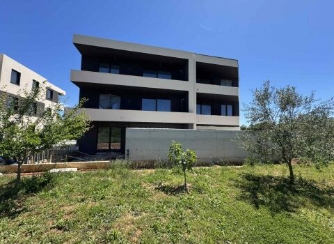 1754124082 thumb 1747474302 1000031948