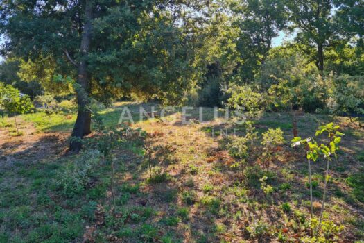 1754125712 img 20250801 wa0022