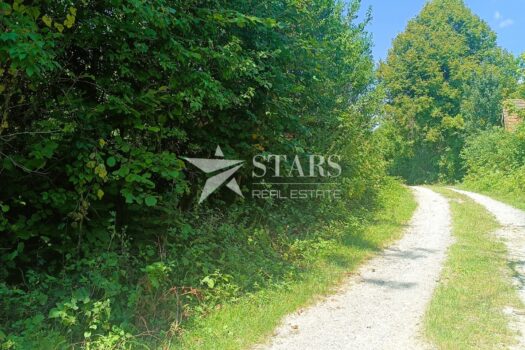 1754248133 img 20250802 113539