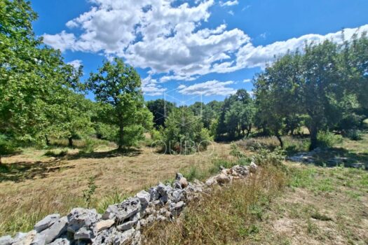 Istrien, Krmed – Baugrundstück in idyllischer Naturlage 1754556061 img 20250807 wa0009