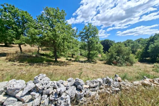 Istrien, Krmed – Baugrundstück in ruhiger Lage, Nähe Bale und Rovinj 1754556139 img 20250807 wa0010