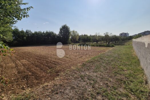 1754567207 5bc671e3 a48f 4715 a8e3 ea594acf9765