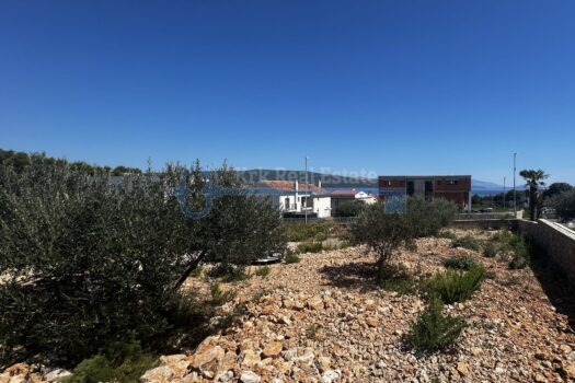 1754730338 untitled1