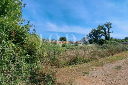 1755237934 1468859820 436592 0