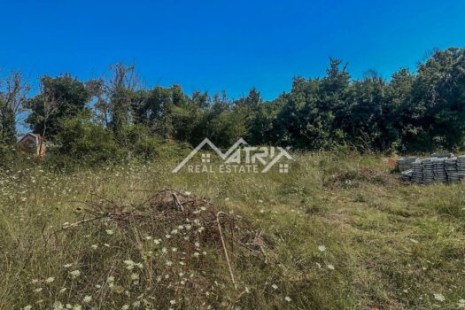 1755368524 mm 7 of 15