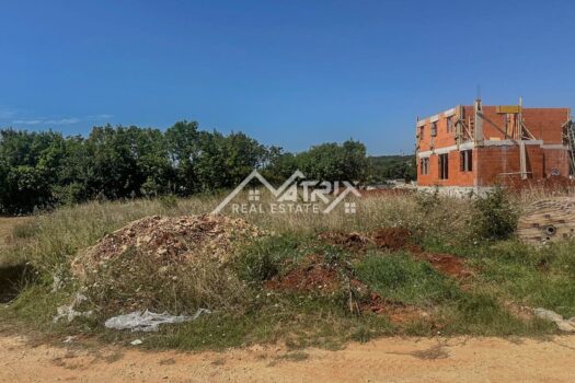 1755368798 mm 10 of 15