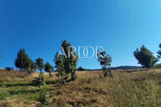 1755684461 begovo razdolje gradevinsko zemljiste 5000 m pogledom slika 256306716 1