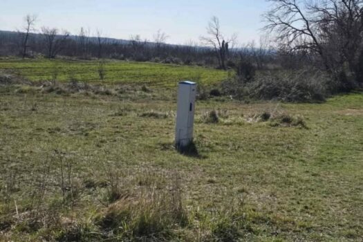 1756228011 1000013436