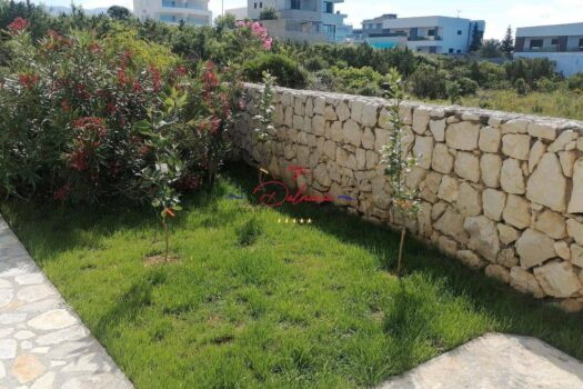 1756576988 615585011 276098 0