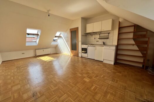 20230427_090253168_iOS