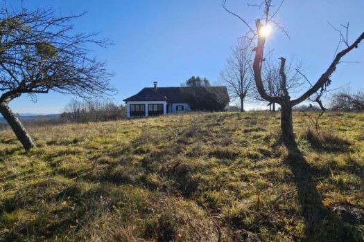Ansicht Haus am höchsten Punkt am Scheibengrund