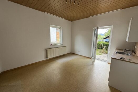 Kleine Mietwohnung mit Terrasse in Gratkorn, ab sofort 20250729_114041810_iOS