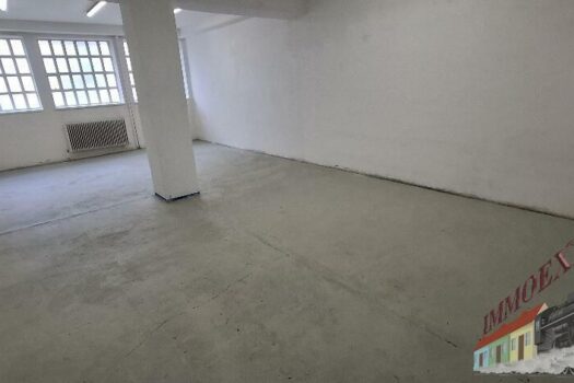 20250829_115015_resized