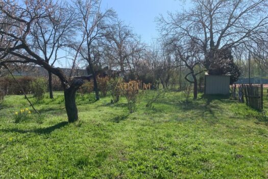 EIGENGRUND IN RUHIGEM KLEINGARTENVEREIN – JETZT ZUGREIFEN! Garten