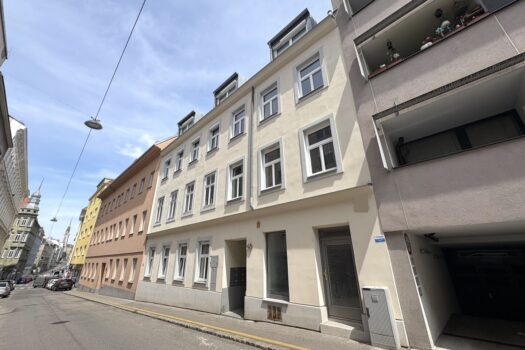 1WZHCfIy0SfW3MGmlpqgsd