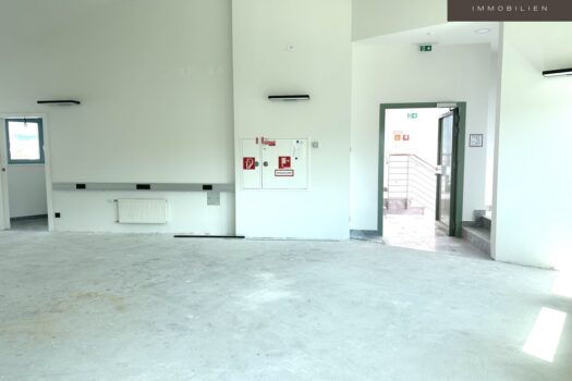 2SBSD5x4mXyf435q4GUpYI