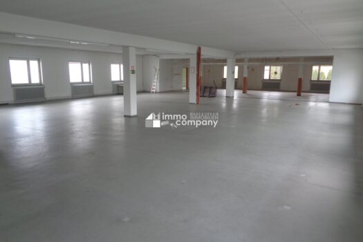 Neuer Preis!!! Interessantes Anlageobjekt für Firmensitz oder ca. 18 Wohneinheiten! ...und weitere 1312m² Freifläche/ Baugrund für zB. Reihenhäuser um Euro 158.000!!! DSC00461