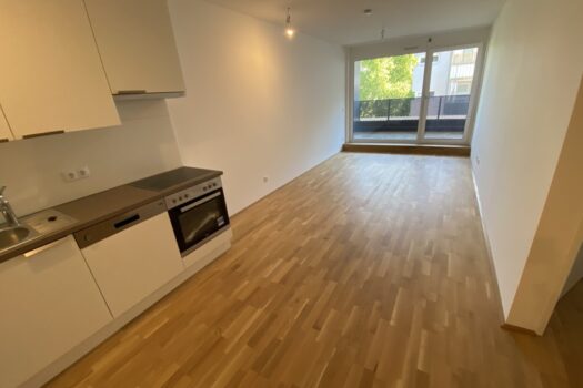 Großzügige Neubauwohnungen in Graz 2pzmR65qDdaROOkn9UKAKY