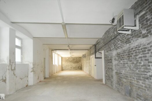 2rP5sqC10uCXT56VXPKcHG