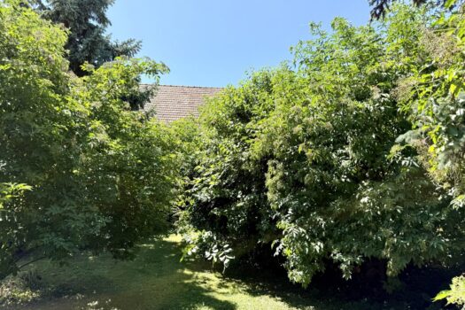 340S9VzWJUqFyJcBcVXh50