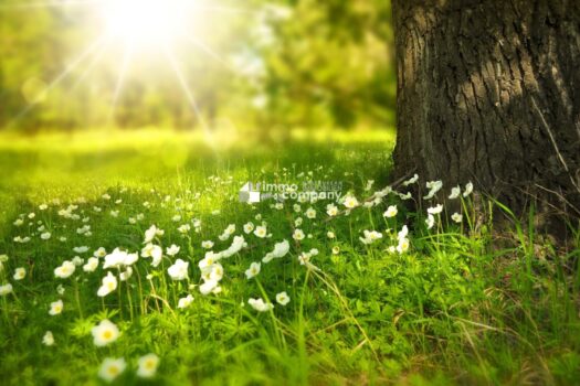 37LZoySw14aRcshgjtHnSW