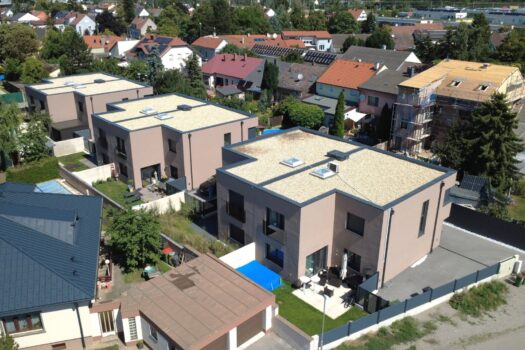 3BbkKdK5lwjKYCPcW02DnL