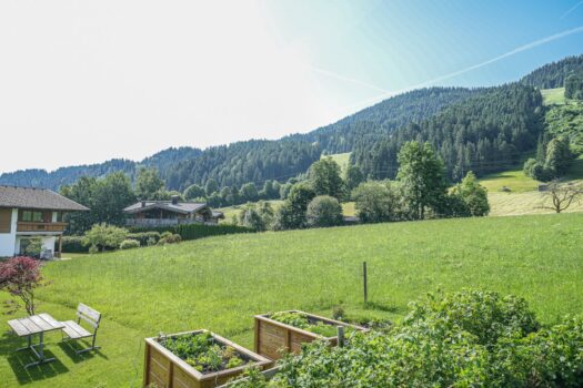 3NLru2jA2bT9HQTGil4SUc