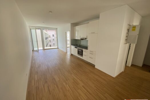 3aUlYPM9ZXYMjZ2D6u2fEo