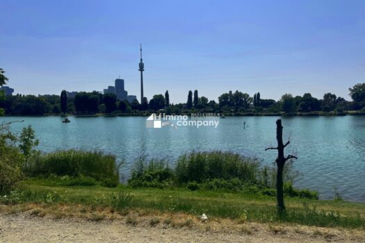 3p8OnM9hd33eIl3ClrPSZq